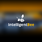 IntelligentBee