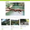 Website Dev for Team of Experts