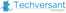 Techversant