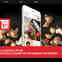8 Bis Branding V4